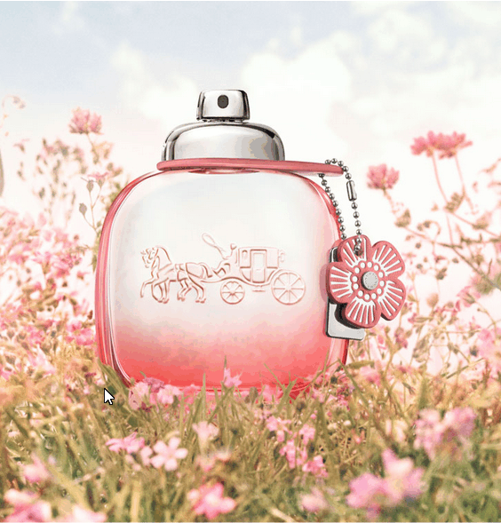 Coach Floral Blush